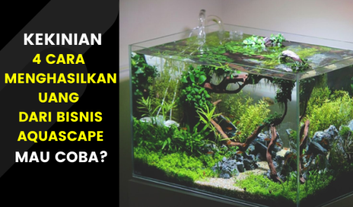 cara menghasilkan uang dari bisnis aquascape