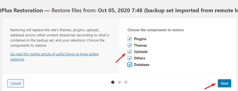Pilihan Restore File di UpdraftPlus
