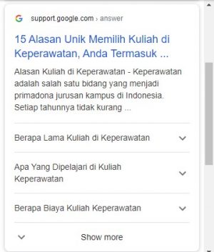 Tampilan Preview FAQ Schema Markup di Google