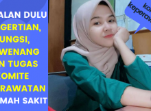 Tugas Komite Keperawatan