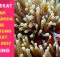 Alasan Kenapa Anda Wajib Mengunjungi Great Barrier Reef