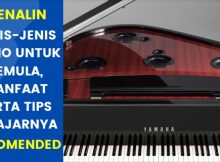 Ketahui 5 Jenis Piano Untuk Pemula, Manfaat Serta Tips Belajarnya