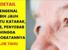 Apa Itu Katarak? Menelusuri Akar Penyebab, Jenis, Pencegahan Dan Pengobatannya